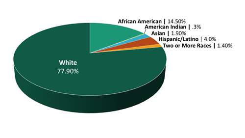 staff pie chart 